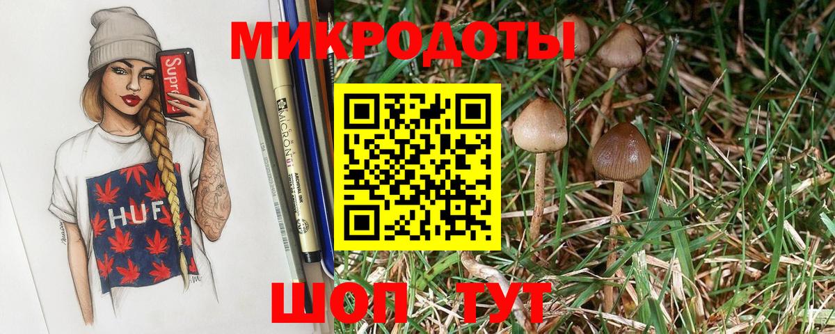 Псилоцибиновые грибы Psilocybine cubensis Нальчик
